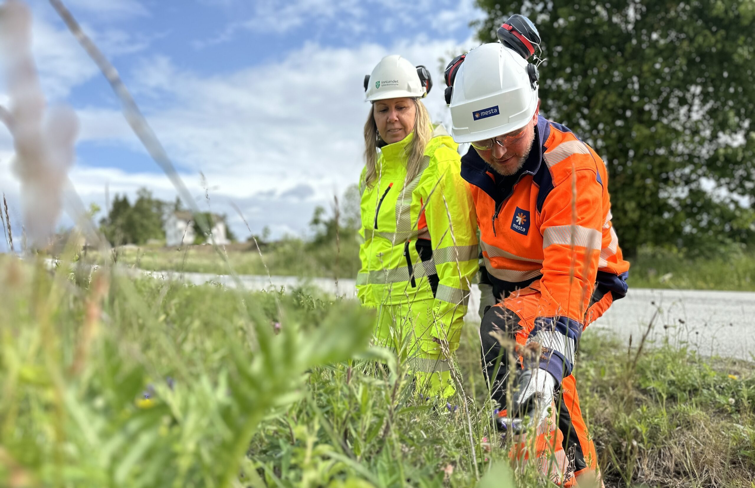 Kantslåtten som sparer blomstene. Amund Grimsrud og Line Fjeldheim Lindberg. 